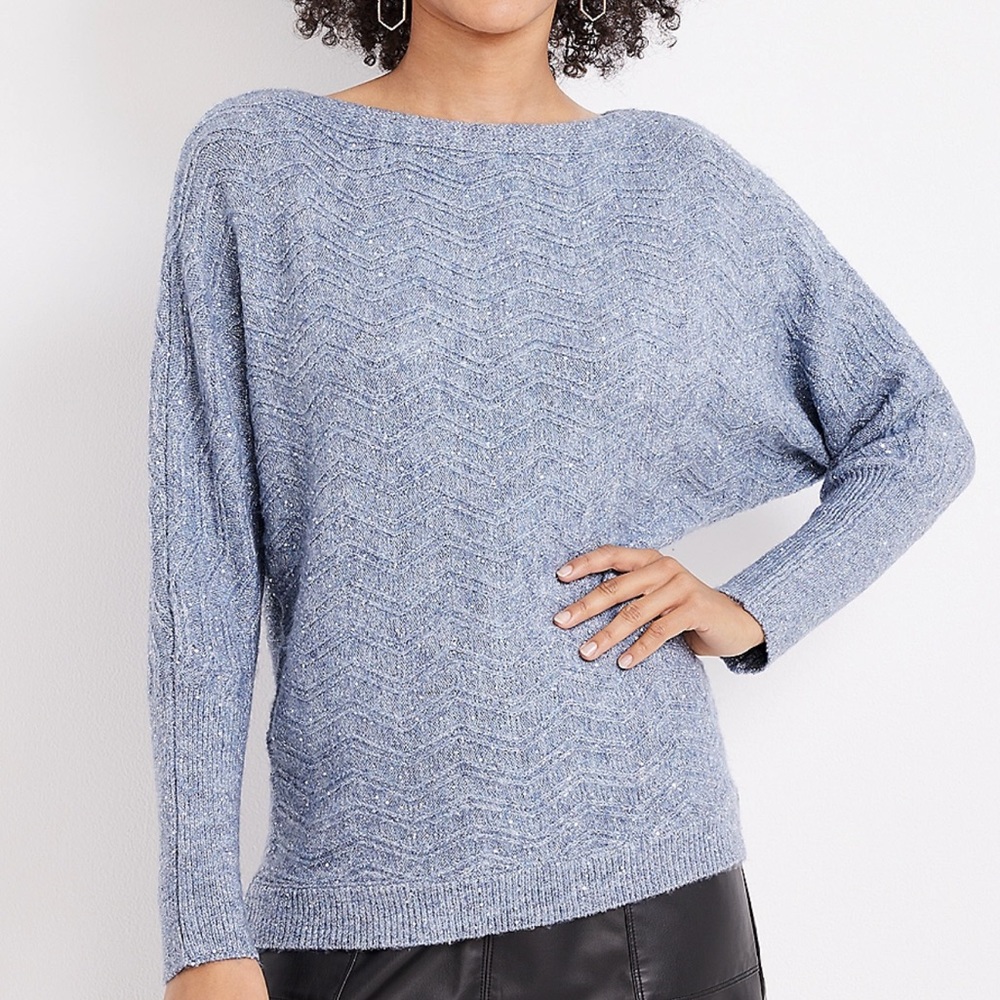 Sequin Dolman sweater